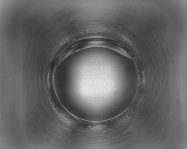 X0000060740452200511101112