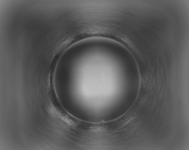 X0000060740454200511101112