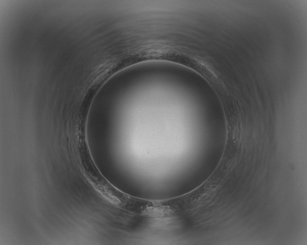 X0000060740455200511101112