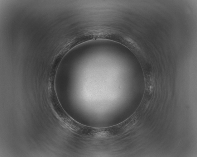 X0000060740456200511101112