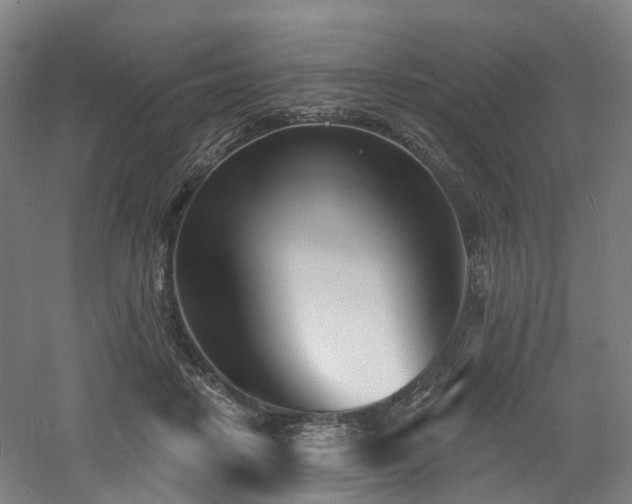 X0000060740458200511101112