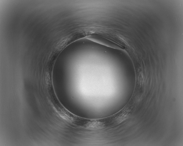 X0000060740459200511101112