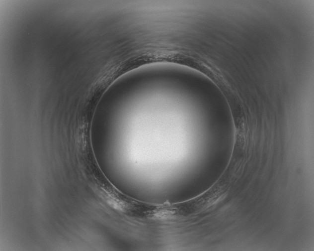 X0000060740462200511101112