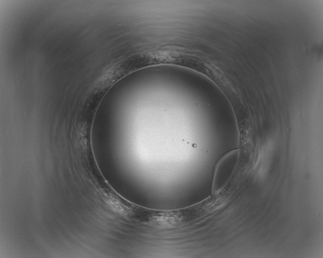 X0000060740466200511101112