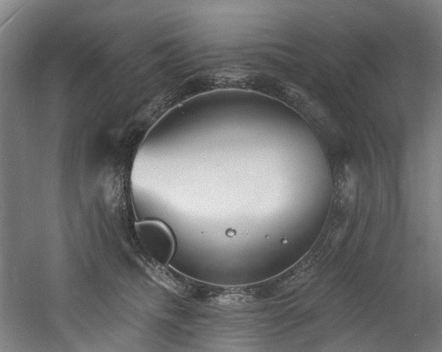 X0000060740468200511101113