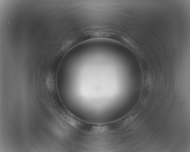 X0000060740469200511101113