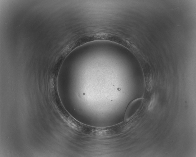 X0000060740472200511101113