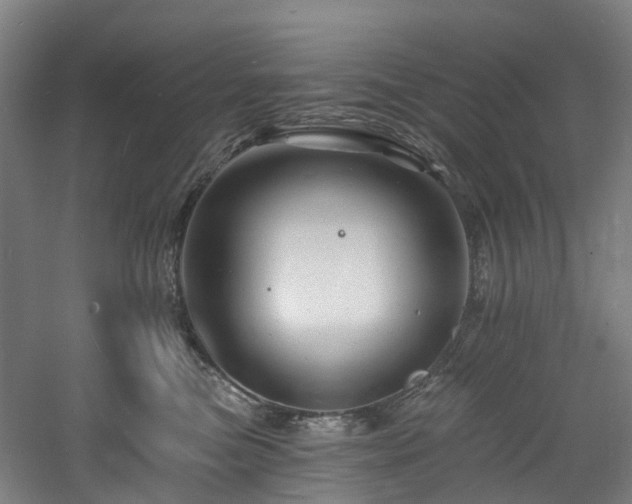 X0000060740473200511101113