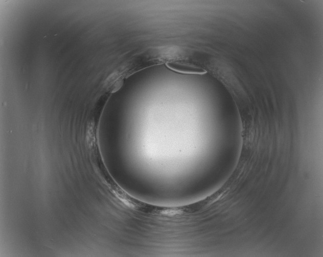 X0000060740478200511101113