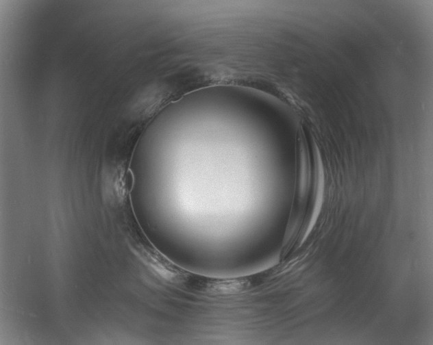 X0000060740479200511101113