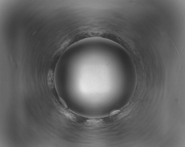 X0000060740480200511101113