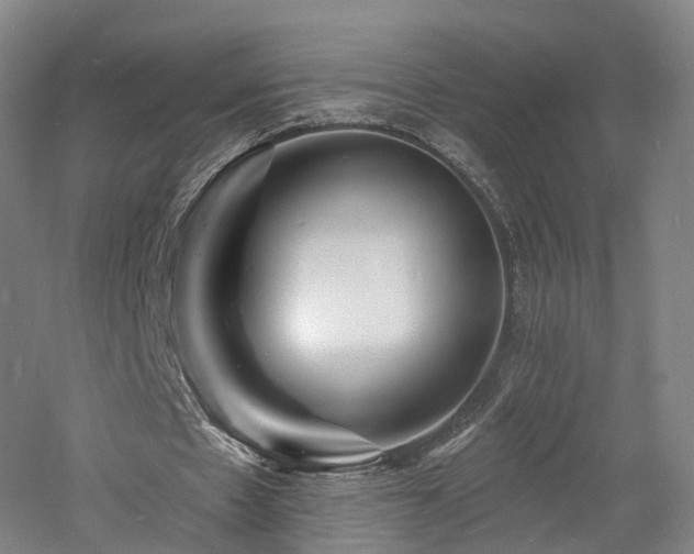 X0000060740481200511101112