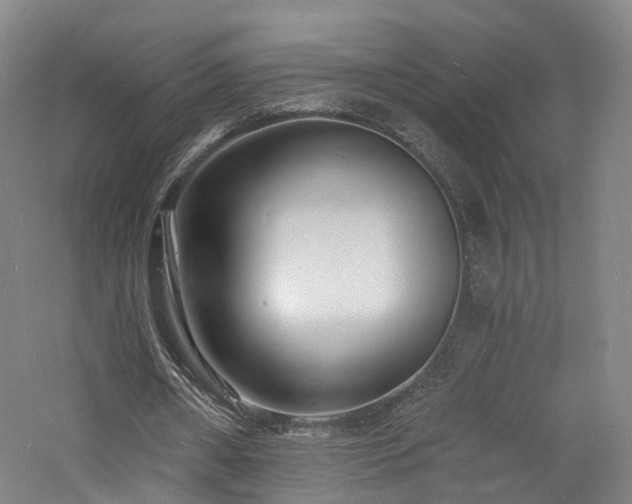 X0000060740482200511101112