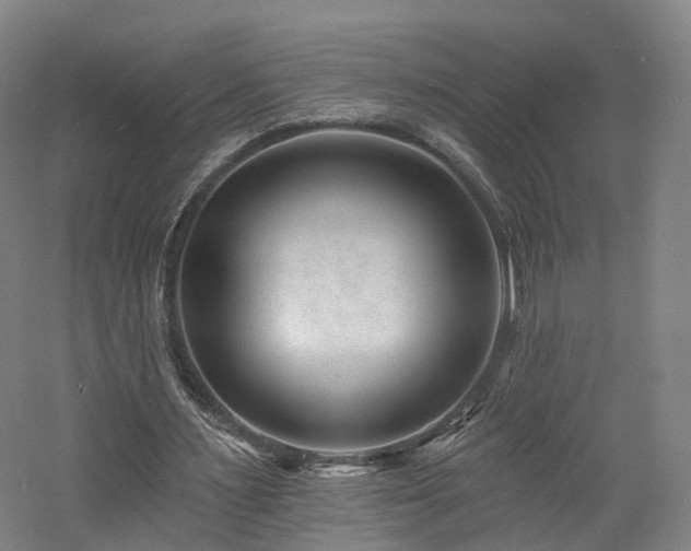 X0000060740483200511101112