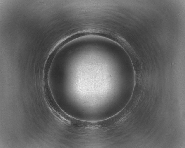 X0000060740484200511101112