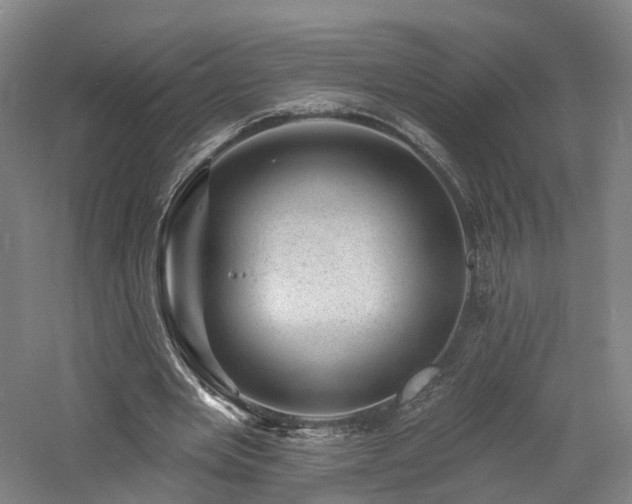 X0000060740485200511101112