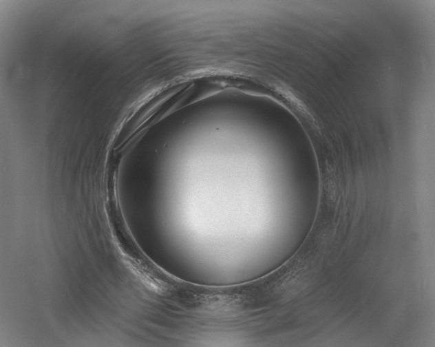 X0000060740486200511101112