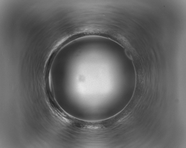 X0000060740488200511101112