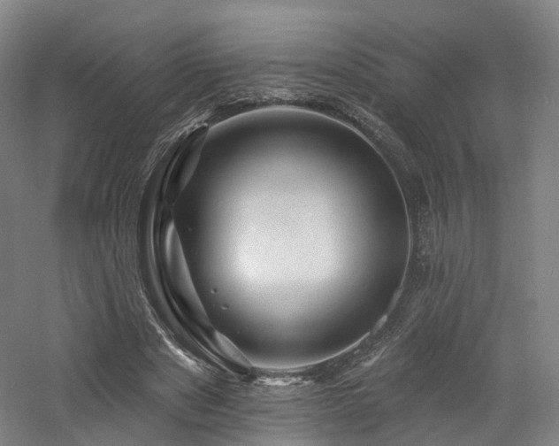 X0000060740489200511101112