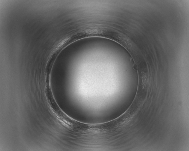 X0000060740490200511101112