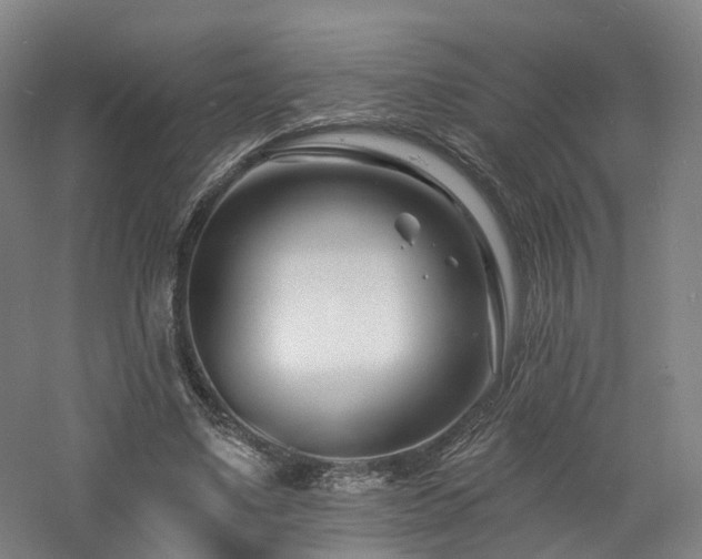 X0000060740491200511101112