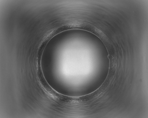 X0000060740494200511101112