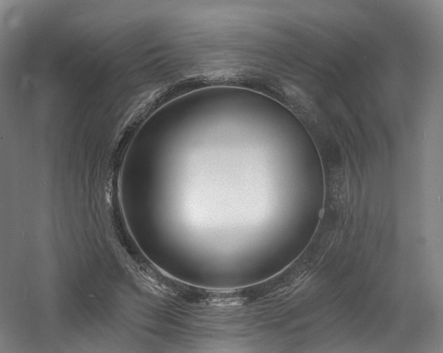 X0000060740495200511101112