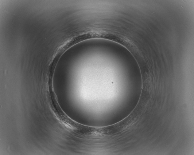 X0000060740496200511101112