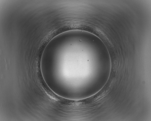 X0000060740497200511101112