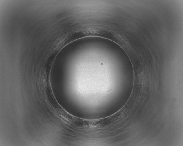 X0000060740498200511101112