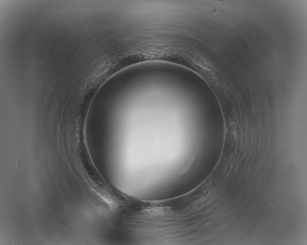 X0000060740499200511101112