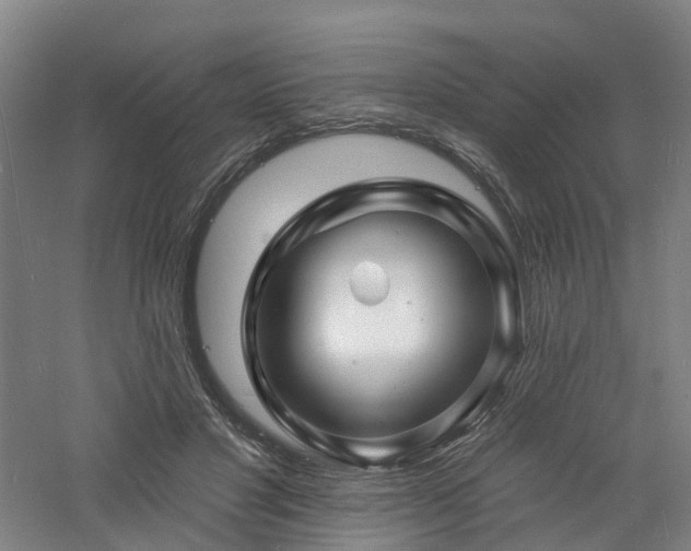 X0000060740501200511101112