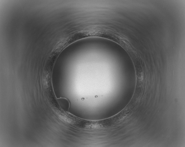 X0000060740503200511101112