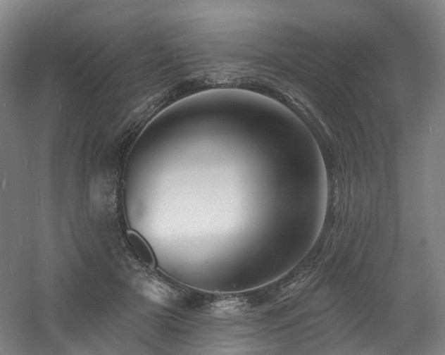 X0000060740505200511101111