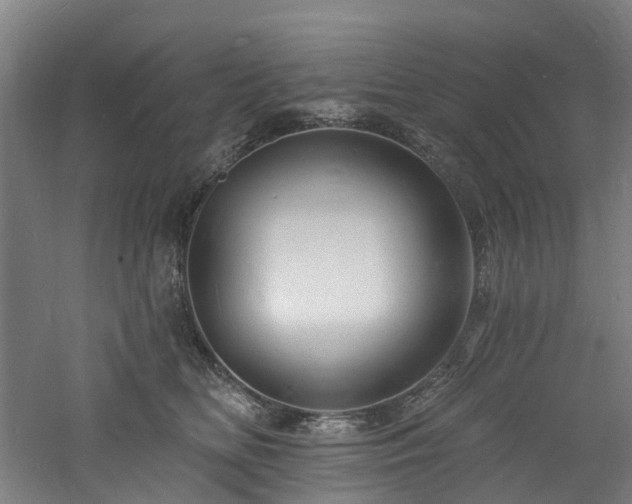 X0000060740518200511101111