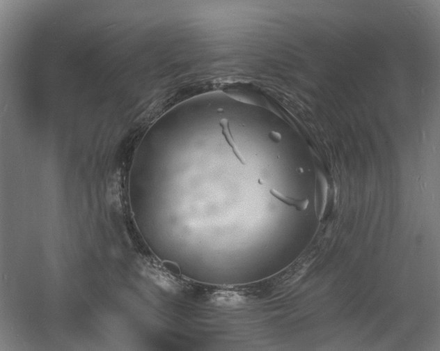 X0000060740519200511101111