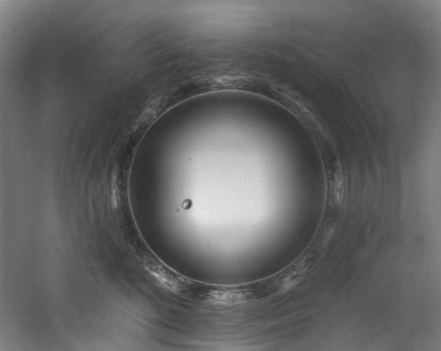 X0000060740520200511101111