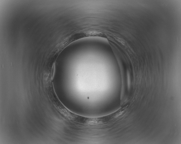 X0000060740521200511101111