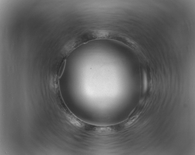 X0000060740525200511101111