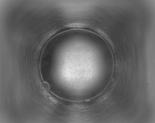 X0000060740529200511101110