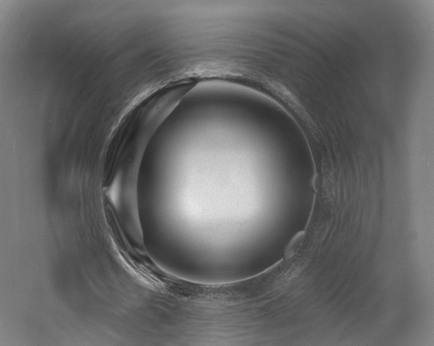 X0000060740530200511101110