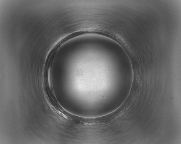 X0000060740532200511101110