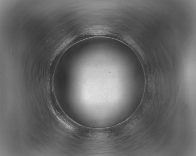 X0000060740533200511101110