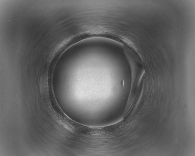 X0000060740535200511101110