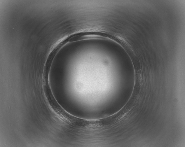 X0000060740536200511101110