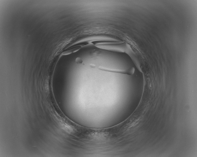 X0000060740537200511101110