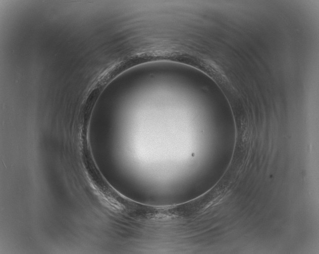 X0000060740542200511101110