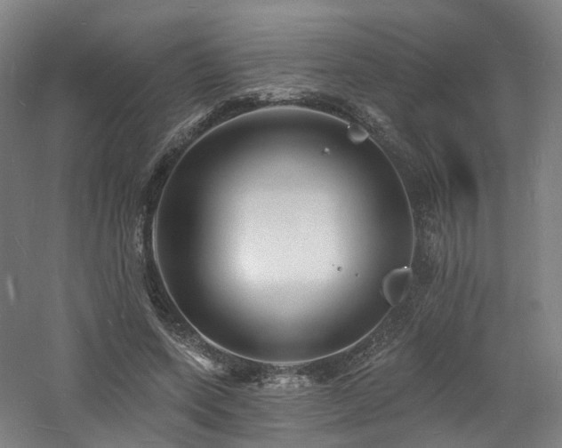 X0000060740543200511101111