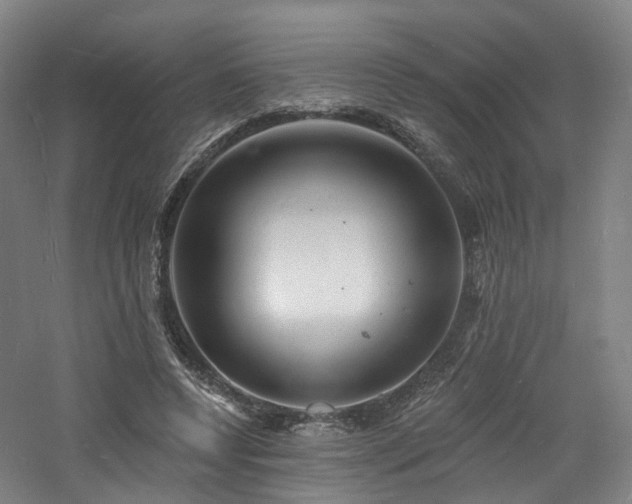 X0000060740544200511101111