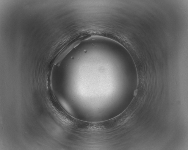 X0000060740545200511101111